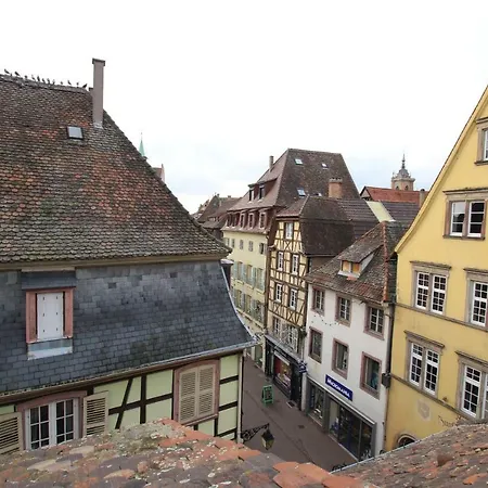 Colmar City Center - Appartement Petit Ours - Bookingalsace Esterno foto