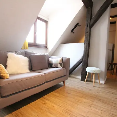Colmar City Center - Appartement Petit Ours - Bookingalsace Esterno foto