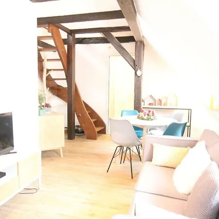 Colmar City Center - Appartement Petit Ours - Bookingalsace Esterno foto